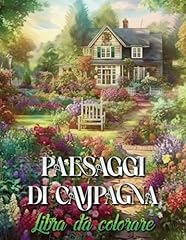 Paesaggi campagna libro usato  Spedito ovunque in Italia 