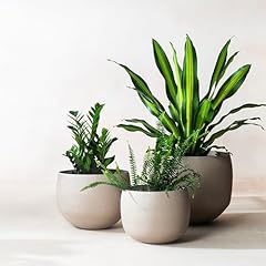 Fab habitat eden for sale  Delivered anywhere in USA 