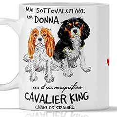 Tazza cavalier king usato  Spedito ovunque in Italia 