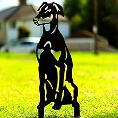 Doberman pinscher lurcher for sale  Delivered anywhere in UK