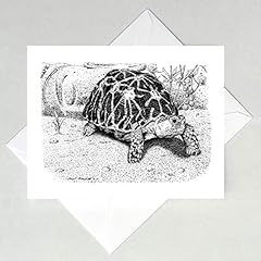 Star tortoise note for sale  Delivered anywhere in USA 