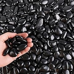 Black pebbles plants for sale  Delivered anywhere in USA 