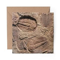 Greeting card fossil for sale  Delivered anywhere in UK