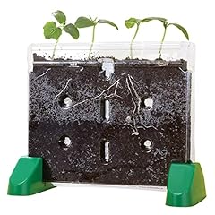 Educational insights sprout for sale  Delivered anywhere in USA 