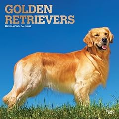 Golden retrievers 2025 for sale  Delivered anywhere in USA 
