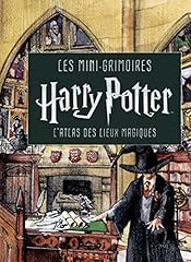 Mini grimoires harry d'occasion  Livré partout en Belgiqu