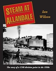 Steam allandale the d'occasion  Livré partout en France