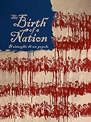 The birth nation usato  Spedito ovunque in Italia 