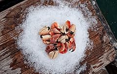Rock crab claws for sale  Delivered anywhere in USA 