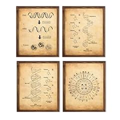 Vintage dna rna for sale  Delivered anywhere in USA 