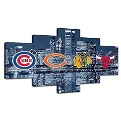 Chicago sports team for sale  Delivered anywhere in USA 