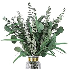 Hiagrow eucalyptus stems for sale  Delivered anywhere in USA 