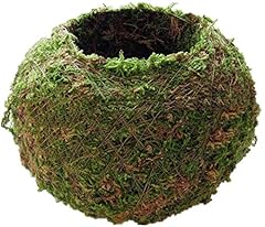 Moss ball flower for sale  Delivered anywhere in USA 