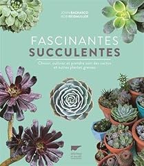 Fascinantes succulentes choisi d'occasion  Livré partout en France