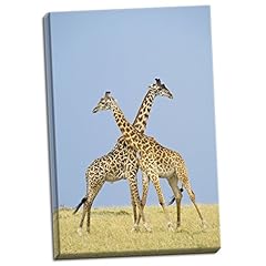 Gango editions crossed for sale  Delivered anywhere in UK