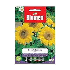 Semi girasole bambino usato  Spedito ovunque in Italia 