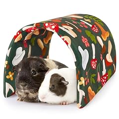 Bienbee guinea pig for sale  Delivered anywhere in USA 