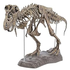 Squelette tyrannosaure modèle d'occasion  Livré partout en France