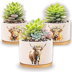 Lazzppo pcs highland for sale  Delivered anywhere in USA 