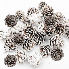 Fypuda 160 pcs for sale  Delivered anywhere in USA 