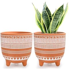 Frcctre pack terracotta for sale  Delivered anywhere in USA 