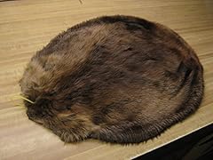 Tanned beaver hide for sale  Delivered anywhere in USA 
