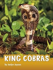 King cobras usato  Spedito ovunque in Italia 