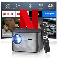 Netflix certifié 35000lm d'occasion  Livré partout en France