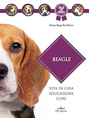 Beagle usato  Spedito ovunque in Italia 