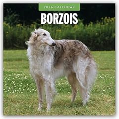 Borzois barsoi barzaia gebraucht kaufen  Wird an jeden Ort in Deutschland