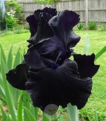 Blue buddha farm for sale  Delivered anywhere in USA 