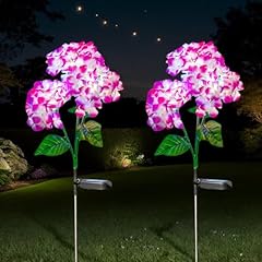 Solar blumenlichter den gebraucht kaufen  Wird an jeden Ort in Deutschland