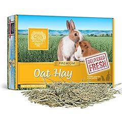 Small pet select for sale  Delivered anywhere in USA 