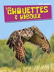 Chouettes hiboux d'occasion  Livré partout en Belgiqu