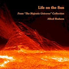 Life sun for sale  Delivered anywhere in USA 