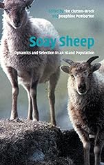 Soay sheep dynamics for sale  Delivered anywhere in USA 