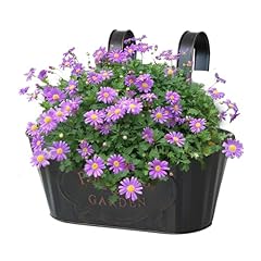 Hanging flower boxes usato  Spedito ovunque in Italia 