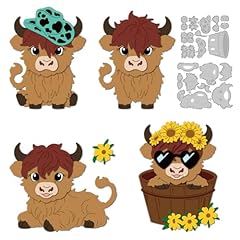 Delorigin highland cattle for sale  Delivered anywhere in UK