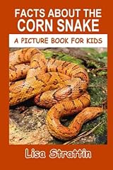 Facts corn snake for sale  Delivered anywhere in USA 