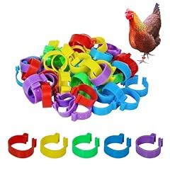 Chicken leg bands for sale  Delivered anywhere in USA 