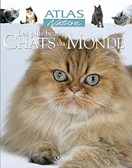 Beaux chats d'occasion  Livré partout en France