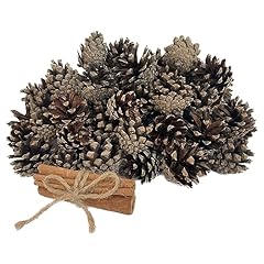 Scented pine cones for sale  Delivered anywhere in USA 