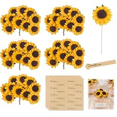 Euykqnoi 50pz girasoli usato  Spedito ovunque in Italia 