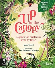 The canopy explore usato  Spedito ovunque in Italia 