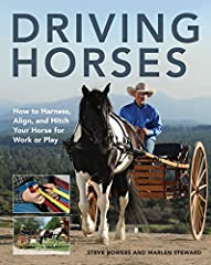 Driving horses harness for sale  Delivered anywhere in USA 