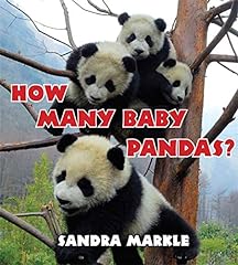 Many baby pandas for sale  Delivered anywhere in USA 