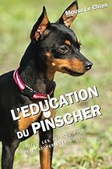 Education pinscher astuces d'occasion  Livré partout en France