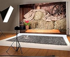 Yongfoto 3x2m vinyle d'occasion  Livré partout en Belgiqu
