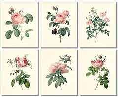 Vintage pink roses for sale  Delivered anywhere in USA 
