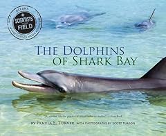Dolphins shark bay for sale  Delivered anywhere in USA 